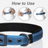 PetiFine Neoprene Padded Dog Collar, Heavy Duty Comfort Dog Collar with Durable Metal Buckle, Reflective Adjustable Belt Buckle Dog Collars for Sm...