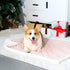 Dog Blanket for Floor Dog Dog Mat Dog Bed Mat for Floor Dog Bed Cooling Mat Warming Mat Ultra Soft Pet Bed Reversible (Cool & Warm) Dog Bed Pad wi...