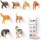 8Pcs Add Some Humor and Funny to Your Fridge with Dog Butt Magnets - Perfect for Home Refrigerator Magnets for Adults or Kids (Dog Butts)......