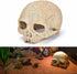 Desert Reptile Decor Skull Fish Tank Decorations Bearded Dragon Accessories Desert Reptile Decor Bearded Dragon Decor, Snake Tank Decor (human + D...