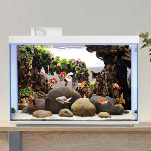 AWERT 48x24 inches Viewing Stone Fish Tank Background Aquatic Plant River Bed & Lake Aquarium Background Seaweed Aquarium Vinyl Background...