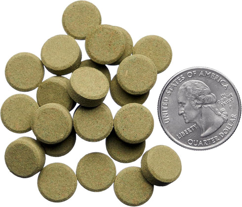 Plecoceramics Algae Wafers Universal Fish Food for Most Aquarium Fish - Turtle Food - Goldfish Food - Catfish Food - Algae Spirulina Wafers for Bo...