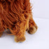 Highland Cow Stuffed Animal Realistic Fluffy Scottish Plush Cow Farm Toys (Brown)...