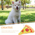 Dog Squeaky Toys Pizza Shaped Dog Toy, Puppy Biting Plush Chewing Toy for Puppy...