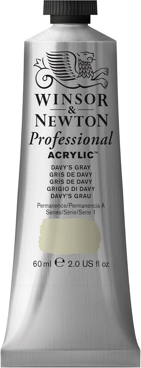 Winsor & Newton Professional Acrylic Paint, 60ml (2-oz) Tube, Davy's Gray...