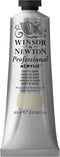 Winsor & Newton Professional Acrylic Paint, 60ml (2-oz) Tube, Davy's Gray...