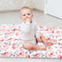 Baby Blanket for Girls, Super Soft Double Layer Minky Blankets with Dotted Backing, Floral Newborn Nursery Bed Blanket, Pink Flower, 30 X 40 Inche...