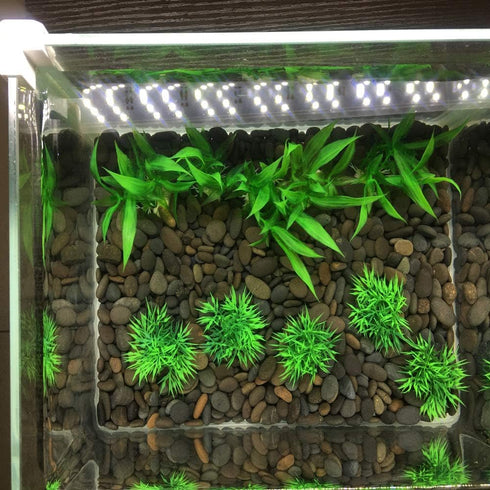 Smoothedo-Pets Aquarium Plants Fish Tank Decorations 4inch/10pcs Set Plastic Artificial Plant Goldfish Waterscape Fish Hides for Small Fish Tank/B...
