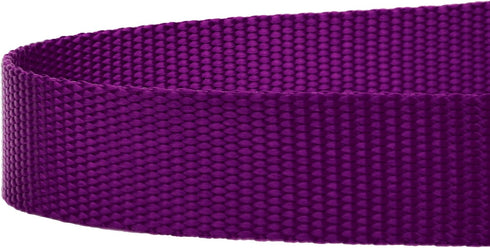 Country Brook Petz 1 Inch Nylon Durable Traditional Style Dog Leash with Easy to Use Snap for Small, Medium, Large Breeds - 25+ Colors (Purple, 6 ...