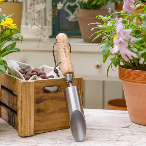 Berry&Bird Bulb Planter Tool, 12" Garden Bulb Transplanter Tool, Stainless Steel Manual Hole Digger with Wooden Handle, Transplanting Agricultural...