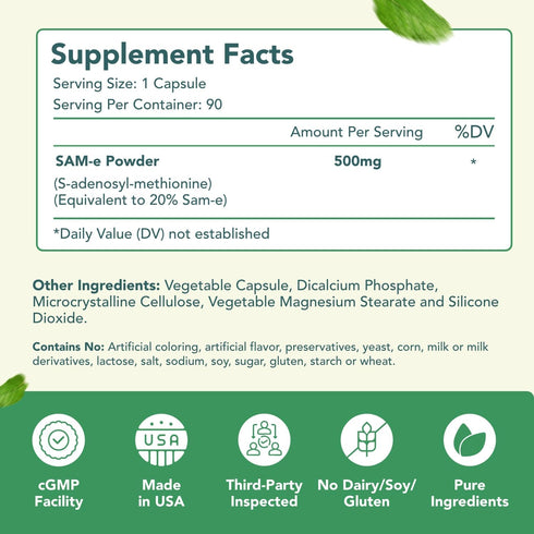 Healthy Way 500mg SAM-e Supplement - High Strength 500mg S-Adenosyl-L-Methionine Capsules for Joint Brain Liver and Mood Support - Non-GMO High Ab...