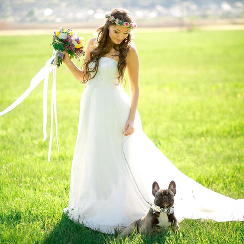 2 Pcs Dog Flower Collar Wedding and Leash Set Pearls for Dogs 120 cm 4 ft Pearls Beaded Dog Leash Dog Collar Bows for Wedding Adjustable for Mediu...