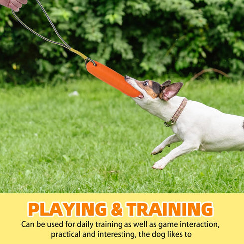 PUPTECK Interactive Dog Pool Toys Water Floating Toys Fetch Training Bumpers 2 Pack...