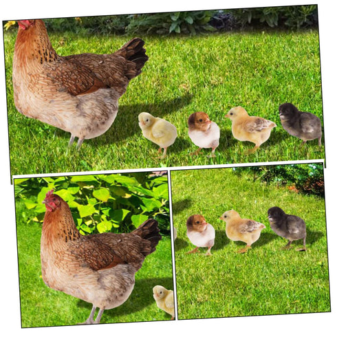 1 Set Hen Chick Ground Plug Yard Decor Yard Sign Simulation Chicken Insert Acrylic Chicken Stake Garden Chicken Decoration Courtyard Insert Garden...