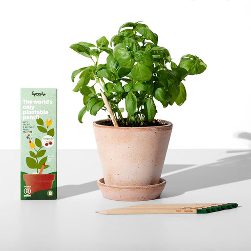 Sprout Wood-Cased Pencils | Original Edition | HB Pre-Sharpened Graphite Plantable Wooden Pencils with Flower, Herb & Vegetable Seeds |Gift Ideal ...