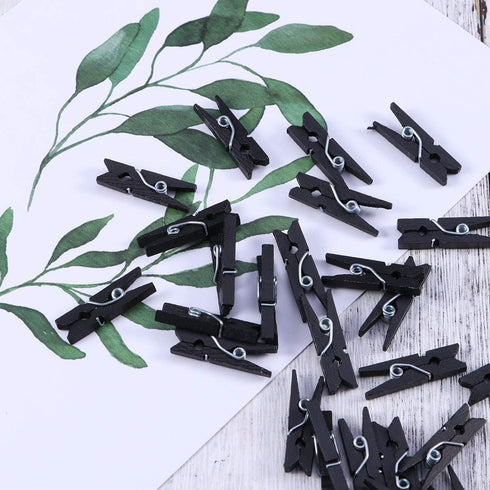 Wooden Clothes Pins, 100pcs 1.3Inch (3.5cm) Black Small Wooden Chip Clips with 33 Feet Jute Twine for Bag Clips Clothespin Bag Clothes Pin Heavy D...