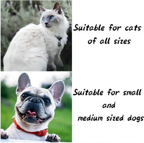 Cute Cat Costume,Handmade Knitted Dog Bandana,Dog Costume for Small Dogs,Easter Rabbit Dog Outfit,Dog Birthday Outfit for Holiday,Outgoing,Photo P...