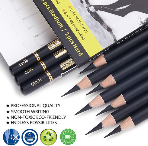 Professional Charcoal Pencils Drawing Set - 10 Pieces Soft Medium and Hard Charcoal Pencils for Drawing, Sketching, Shading...
