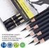 Professional Charcoal Pencils Drawing Set - 10 Pieces Soft Medium and Hard Charcoal Pencils for Drawing, Sketching, Shading...
