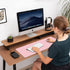Aothia Double-Sided Desk Pad, Large Mouse Pad, Office Desk Mat, Non-Slip PU Leather Desk Blotter, Laptop Desk Pad, Waterproof Desk Writing Pad for...