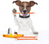 Double Headed Pet Dog Toothbrush for Small Dogs/Soft Bristles Puppy Long Handle Tooth Brush Dogs Teeth Cleaning/Bulk Toothbrushes Dental & Oral Ca...