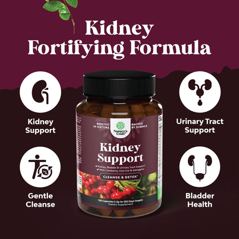 Kidney Support Cranberry Supplement for Women and Men - High Strength Kidney Cleanse and Detox with Stinging Nettle Uva Ursi and Astragalus for Ki...