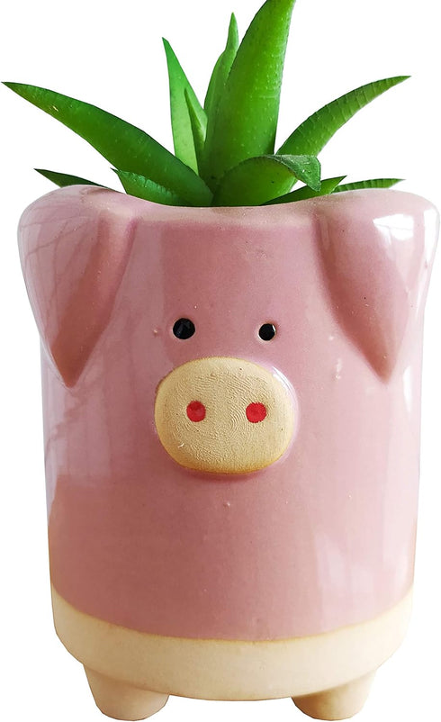 Succulent Pots,3.35 Inch Cute Animal Pig Shaped Indoor Flower Planters-Plants Not in Included...