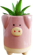 Succulent Pots,3.35 Inch Cute Animal Pig Shaped Indoor Flower Planters-Plants Not in Included...