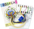 Design Works Crafts Hoop, Owl Counted Cross Stitch Kit...