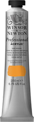 Winsor & Newton Professional Acrylic Paint, 200ml (6.75-oz) Tube, Raw Sienna...