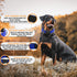2 Pack Reflective Dog Collar with Safety Locking Buckle, Adjustable Soft Breathable Comfortable Nylon Pet Collar for Small, Medium and Large Dogs,...