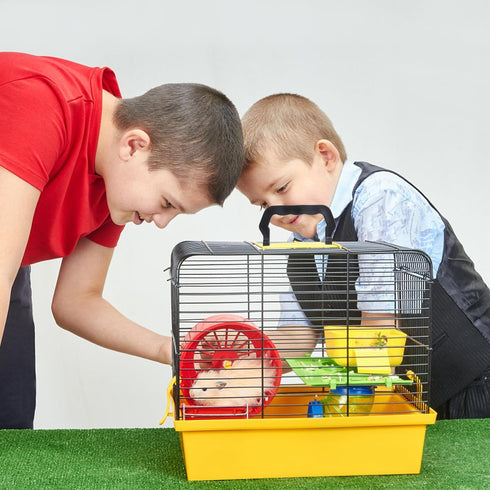 10pcs Replacement Crate Handles, Replacement Pet Cage Crate Handles Plastic Cage Handle for Pet Carrier Plastic Handles for Hamster Chinchilla Rab...