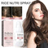 Bello Hair Helper Spray, 2024 New Rice Nutri Spray, Hair Nursing Spray, Hair Mask, Repair Hair Damage Improve Frizz Hair, Help to Stop Thinning an...