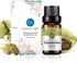 Cardamom Essential Oil 100% Pure Oganic Plant Natrual Cardamom Oil for Diffuser Message Skin Care - 10ML...