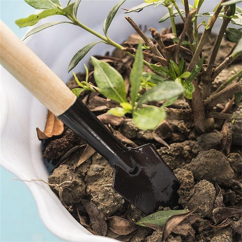Hand Shovel for Gardening Trowel Garden Tool -3Pcs Planting Tools Garden Rake Ergonomic Hand Tools Set Shovel Indoor Plants Tools - Gardening Tool...