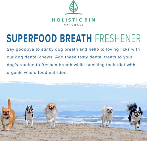 Canine Chlorella Tablets with Human Grade Fermented Chlorella for Dogs | Natural Dog Breath Freshener & Immune Booster Supplement | Dog Greens wit...
