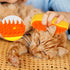 Cat Steam Brush - 3 In 1 Cat Steamy Brush, Silicone Massage Grooming Brush Rechargeable Pet Hair Remover and Grooming Tool – USB Powered Pet Acces...