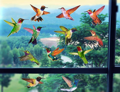 Anti-Collision Window Clings Bird Alert Collision Decals to Prevent Bird Strikes on Window Glass - Set of 12 Hummingbirds...