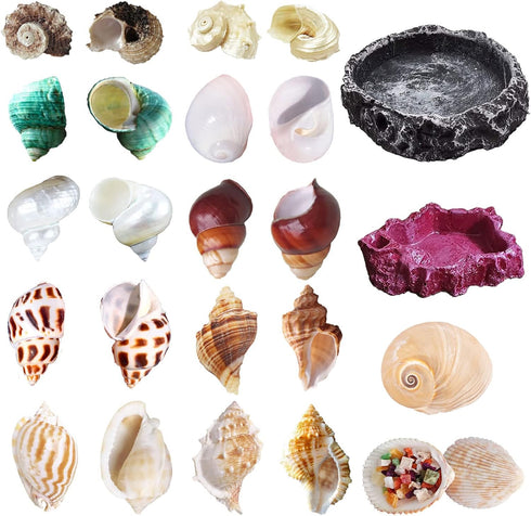 13 Pack Hermit Crab Shells with 2 Pack Food Water Bowl Growth Turbo Seashell Supplies Accessory...