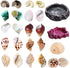 13 Pack Hermit Crab Shells with 2 Pack Food Water Bowl Growth Turbo Seashell Supplies Accessory...