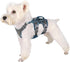 Puppy Harness Escape Proof Dog Harness for Small Dogs - Waterproof Reflective Breathable Dog Vest with Handle for Daily Walking, Training (Gray, X...