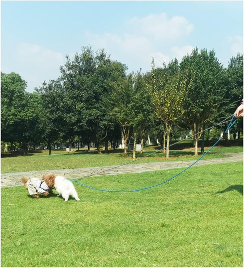 8FT Slip Lead Dog Leash, 1/3” Strong Rope Dog Leash, Adjustable No- Pull Small Dog Leash for Puppy, Small and Medium Pets...