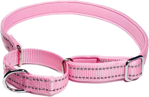 Martingale Dog Collars, Reflective Safety Puppy Collar, Adjustable Soft Nylon Training Dog Collar,Metal Accessories Heavy Duty No Pull Pet Collars...