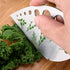 Scissors Herb Stripper Tools Kits 5-Blades Stainless Steel Scissors with Kitchen Herb Stripping Tool, Safe Cover, Cleaning Comb Multipurpose Kitch...