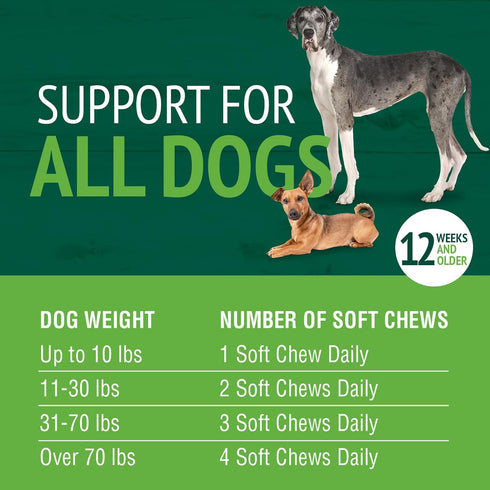 PetNC Natural Care Liver Flavor,Cheese Pre & Probiotic Soft Chews for Dog 120 ct (Pack of 1) (Packaging may vary)...