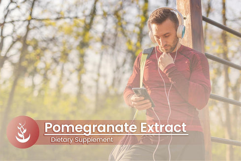 Pure Original Ingredients Pomegranate Extract, Always Pure, No Additives Or Fillers, Lab Verified (100 Capsules)...
