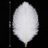 Larryhot White Large Ostrich Feathers - 16-18 inch 10pcs Feathers for Vase,Wedding Party Centerpieces and Home Decorations (White)...