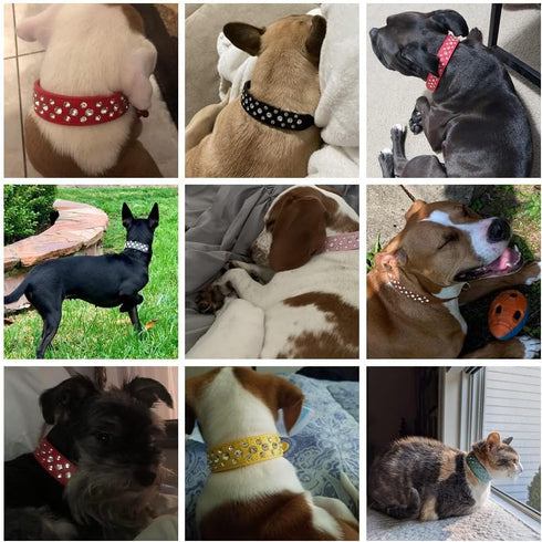 Rhinestone Dog Collar, Bling Rhinestone PU Leather Crystal Diamond Pet Dog Cat Puppy Collar Black S M L XL (XS, Green)...