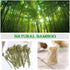 500 Pcs Bamboo Cocktail Appetizer Forks Food Fruit Picks Set 200 Pcs Sandwich Skewer Picks & 300 Pcs Mini Wooden Cocktail Fruit Forks Cheese Wood ...