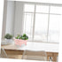 Succulent Flower Pot Planters for Indoor Plants Dresser Decor Bathtub Planter Planting Container Clawfoot Tub Planter Desktop Flower Pot Plant Pot...